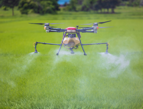 How AI Is Supporting Agricultural Efficiency and Yield Through Precision Farming Techniques